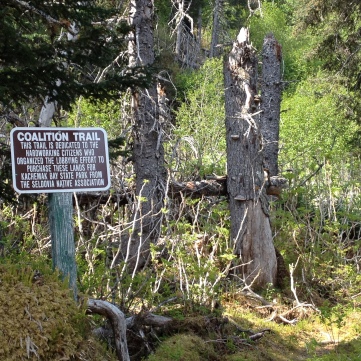 Hiking Coalition Trail in Halibut Cove